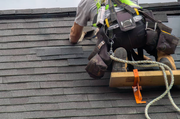 Best Storm Damage Roof Repair  in Belle Plaine, IA