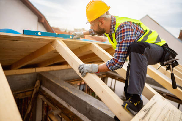Best Roof Maintenance Services  in Belle Plaine, IA