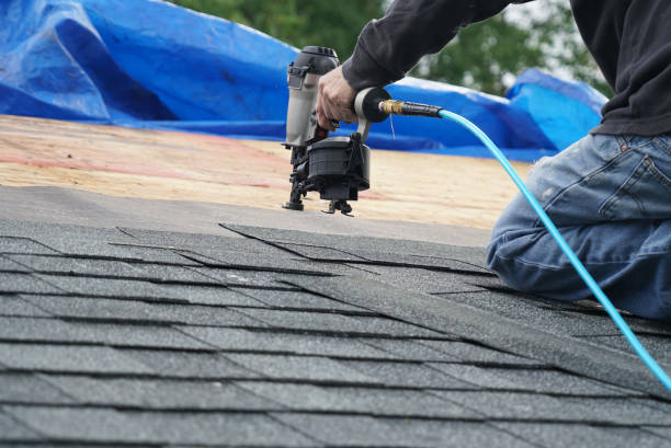 Best Storm Damage Roof Repair  in Belle Plaine, IA